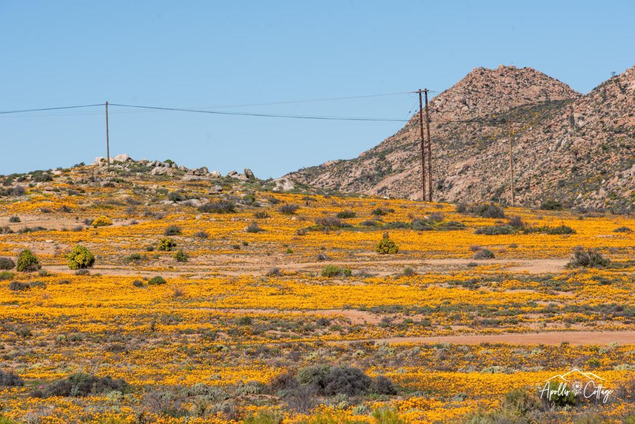 Apollis Cottage Springbok Dış mekan fotoğraf